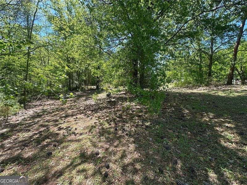 176 Mask Road Fayetteville - 32