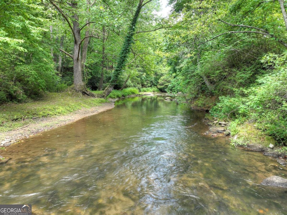 2931 Hwy 2 Blue Ridge - 25