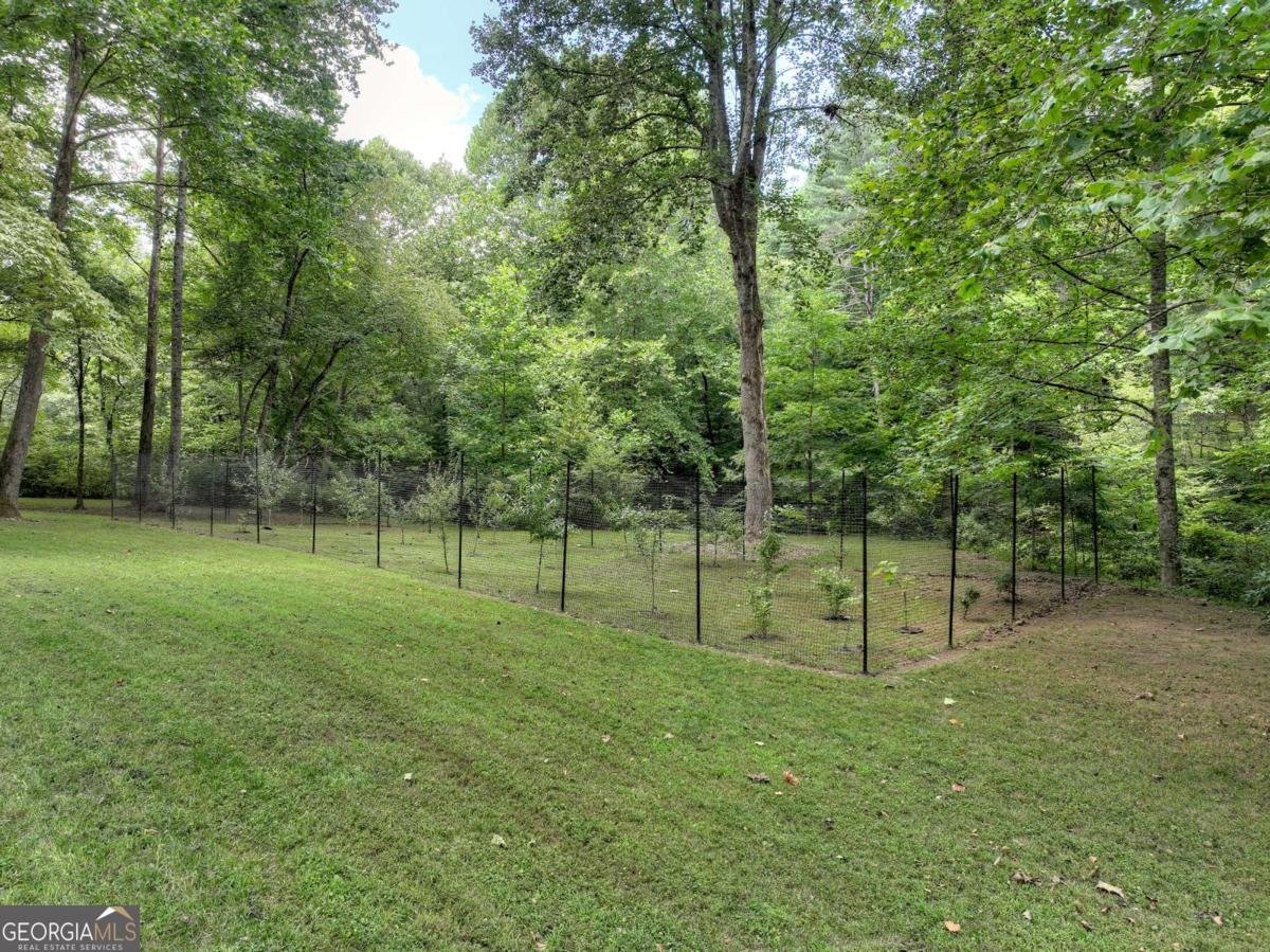 2931 Hwy 2 Blue Ridge - 30