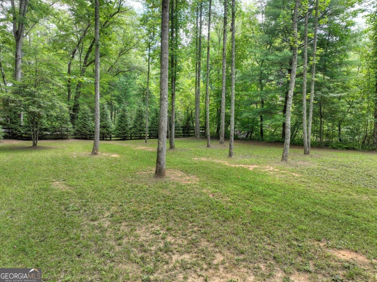 2931 Hwy 2 Blue Ridge - 32