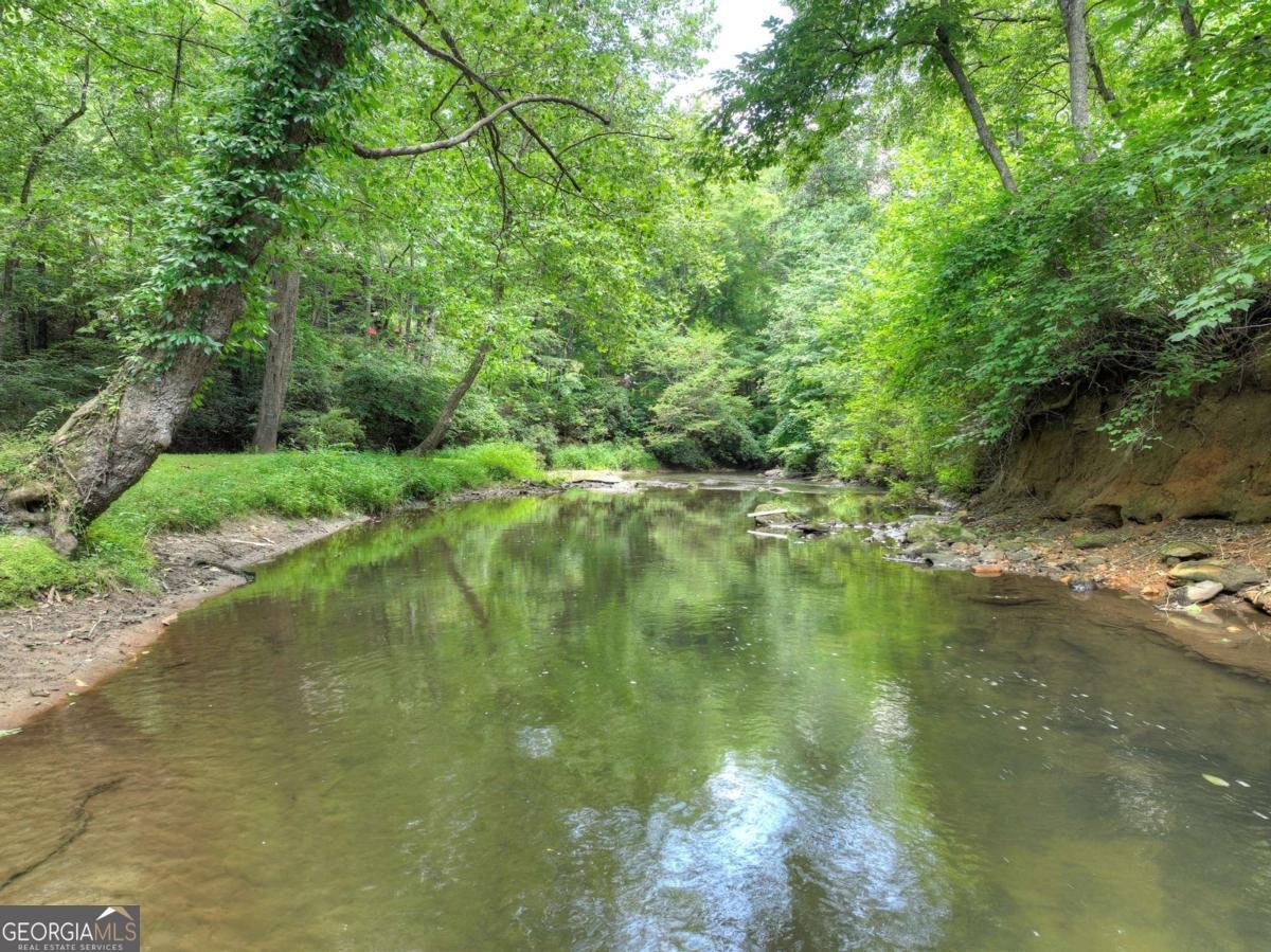 2931 Hwy 2 Blue Ridge - 34