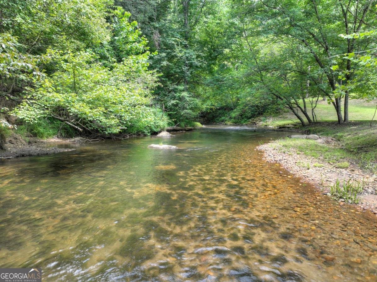2931 Hwy 2 Blue Ridge - 35
