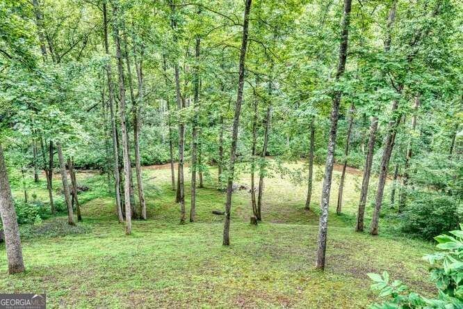 1905 Bell Eagle Drive Hiawassee - 40