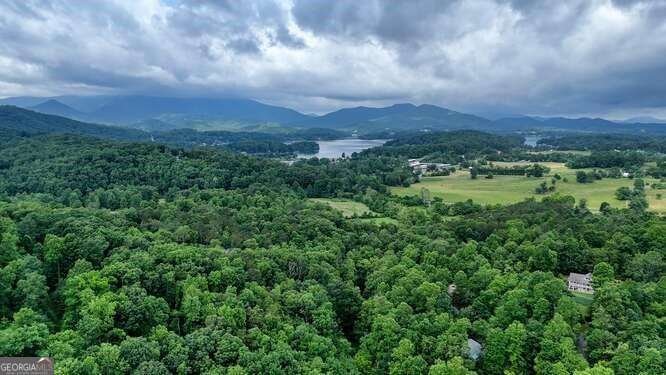 1905 Bell Eagle Drive Hiawassee - 54