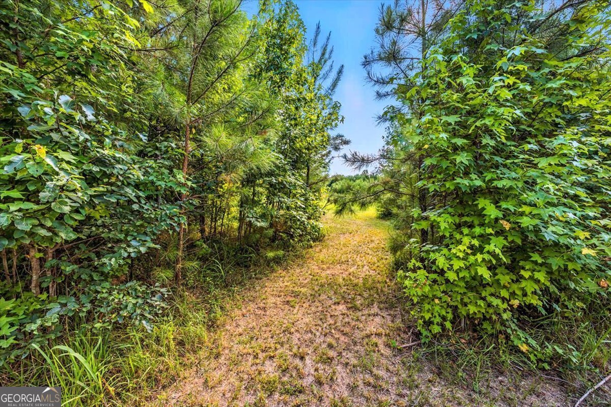 309 Davis Road Gray - 33