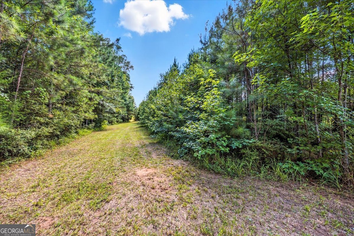 309 Davis Road Gray - 34