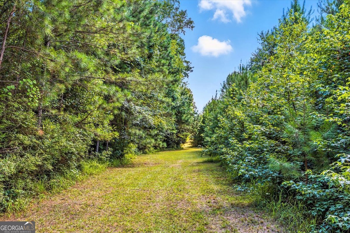 309 Davis Road Gray - 35