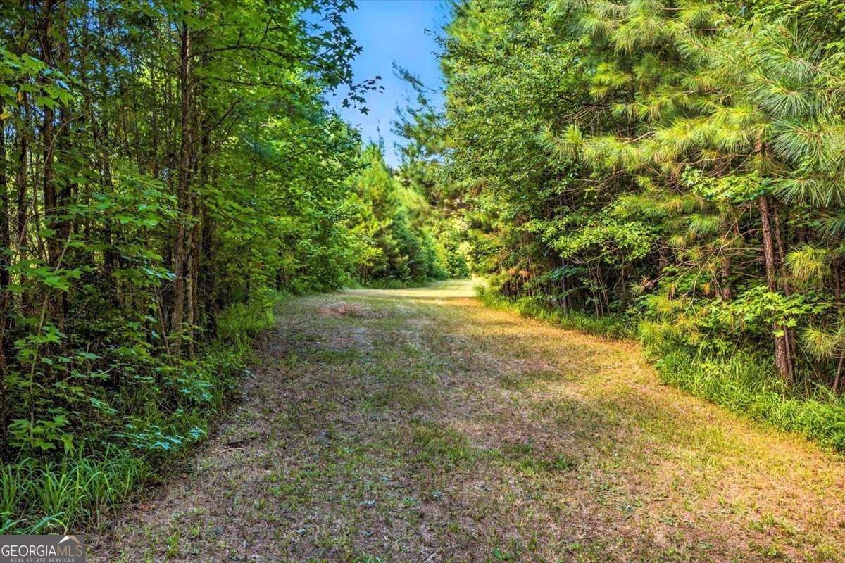 309 Davis Road Gray - 36