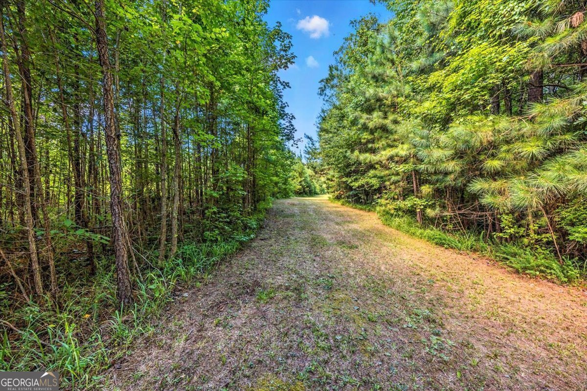 309 Davis Road Gray - 37