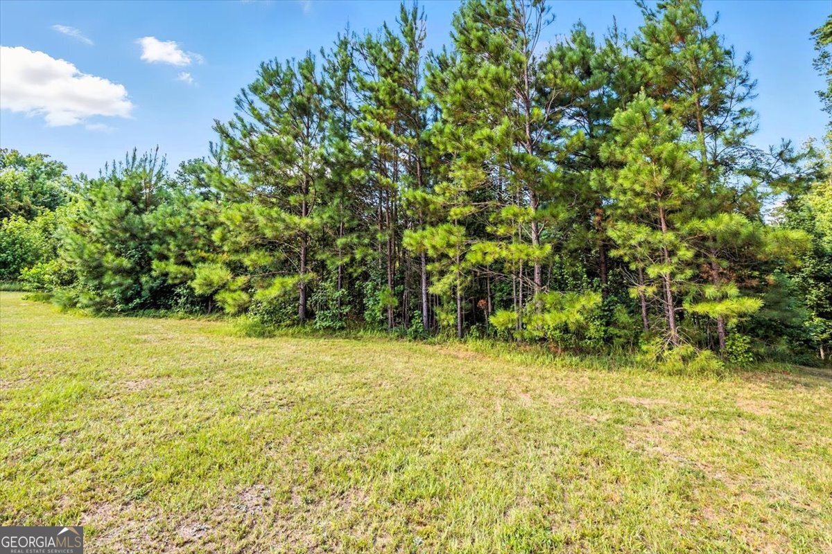 309 Davis Road Gray - 38