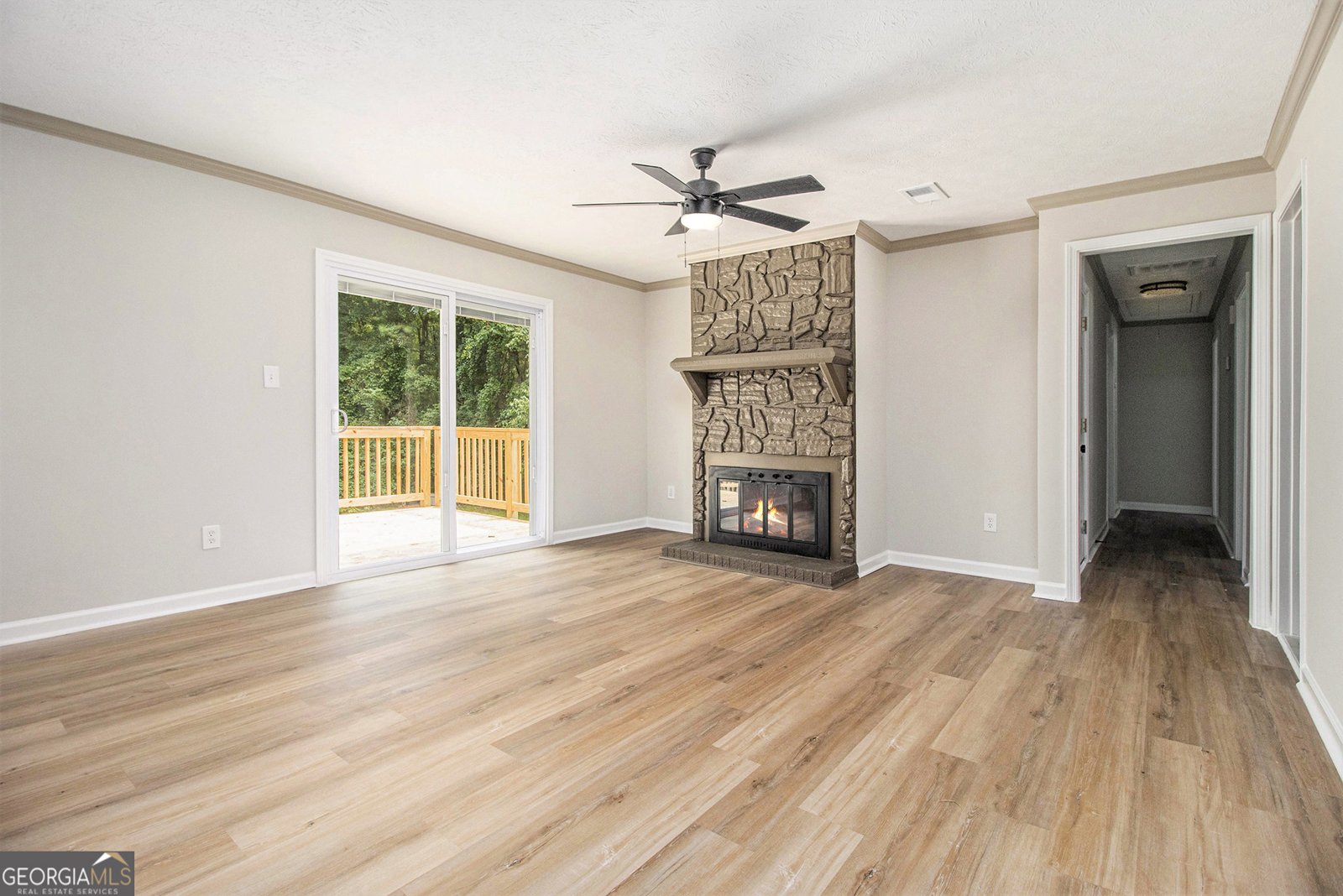 127 Lee Road Senoia - 3