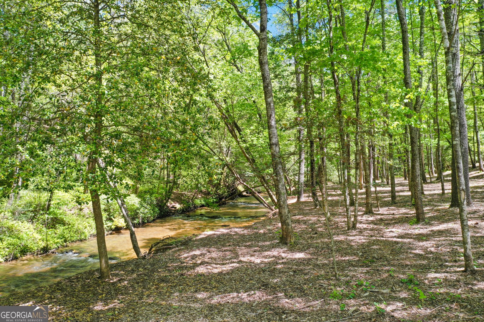 312 Learh Lane Ellijay - 40