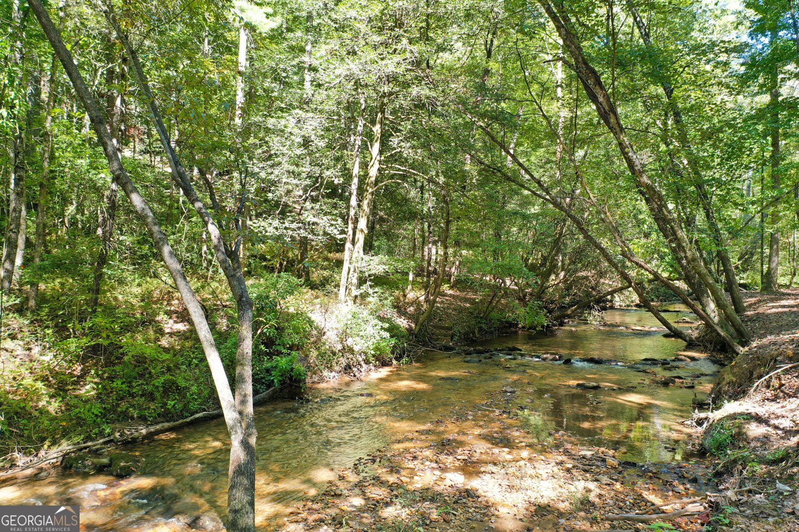 312 Learh Lane Ellijay - 6