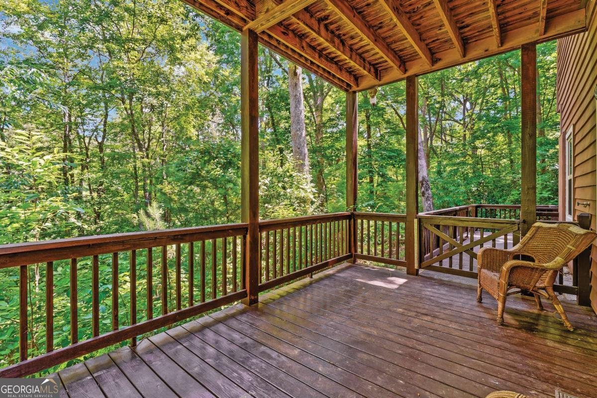 337 Branch Creek Road Blue Ridge - 3