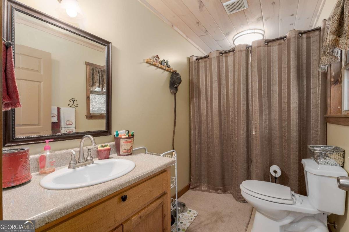337 Branch Creek Road Blue Ridge - 31