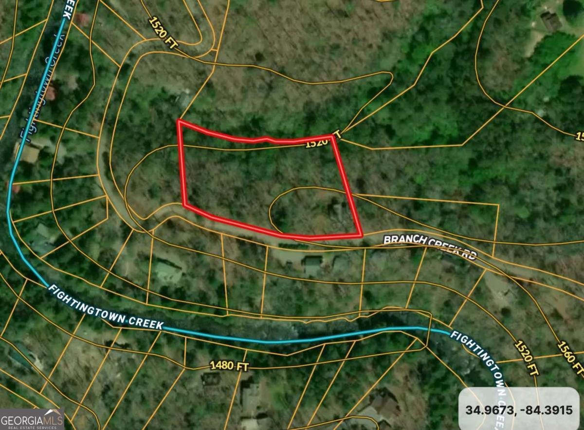 337 Branch Creek Road Blue Ridge - 38