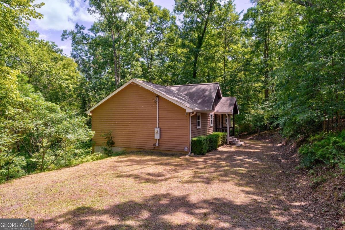 337 Branch Creek Road Blue Ridge - 41