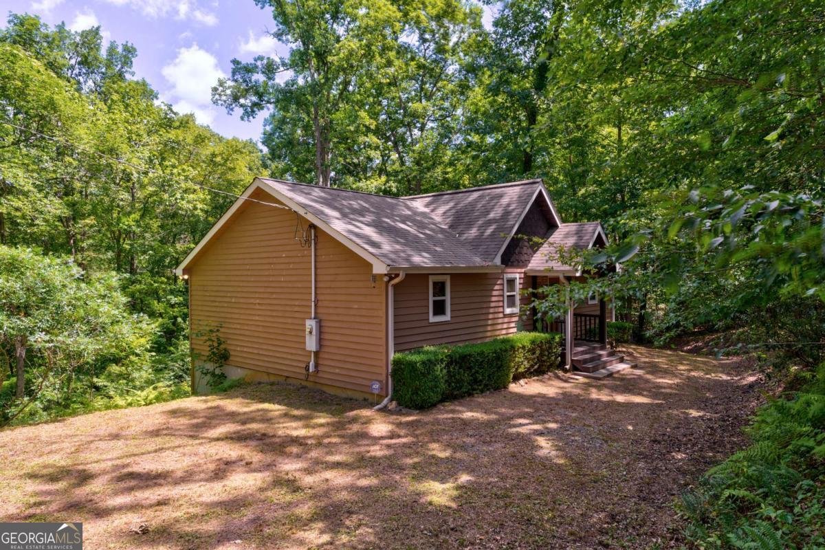 337 Branch Creek Road Blue Ridge - 42