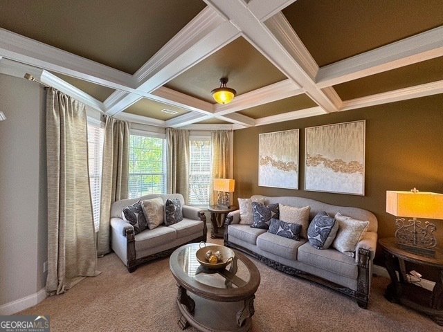 842 Treeline Drive Conyers - 12