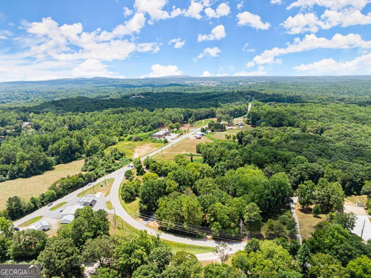 1185 Harmony Church Road Dawsonville - 38