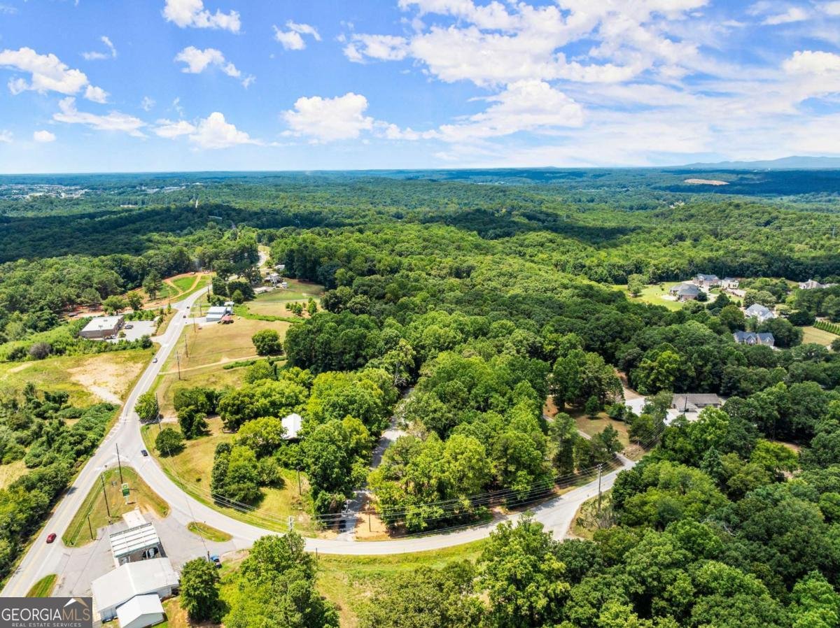 1185 Harmony Church Road Dawsonville - 42