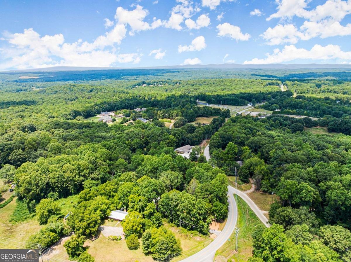 1185 Harmony Church Road Dawsonville - 43