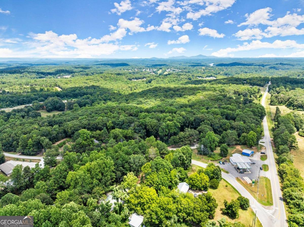 1185 Harmony Church Road Dawsonville - 44