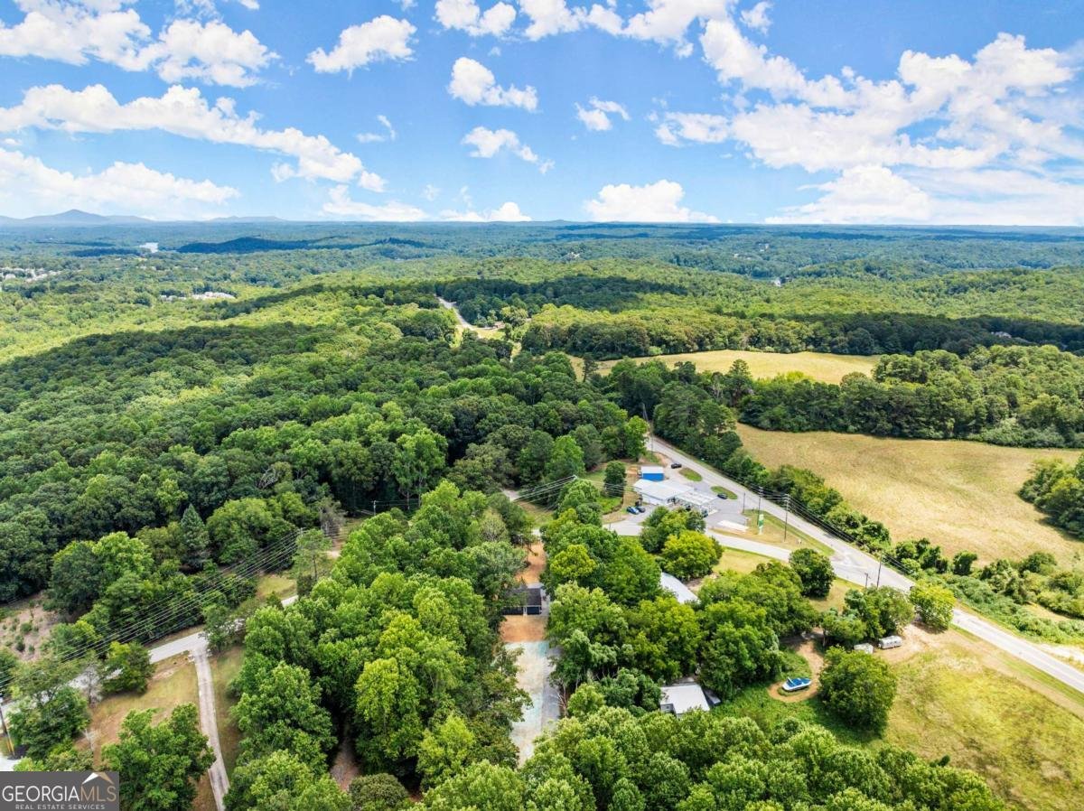 1185 Harmony Church Road Dawsonville - 45