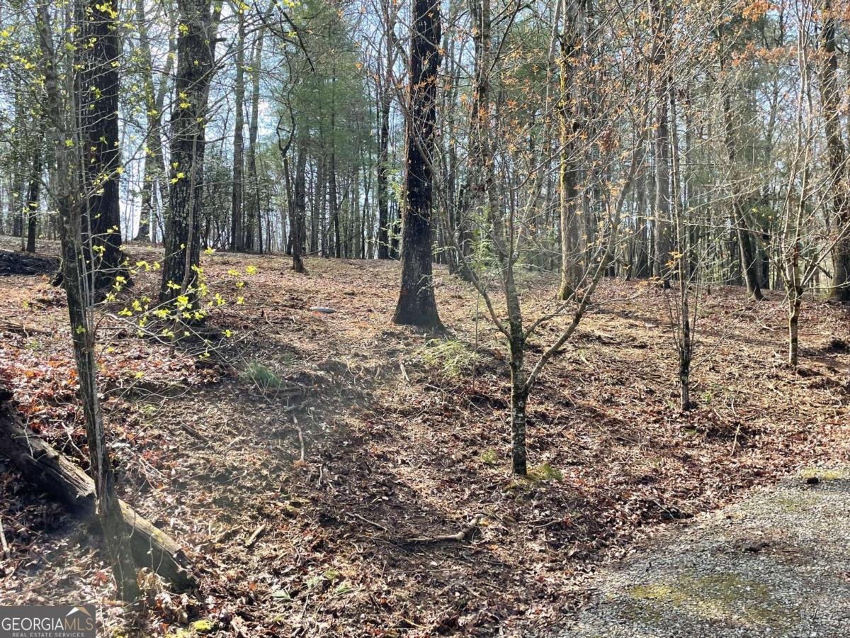 11 Ivy Overlook Epworth - 48