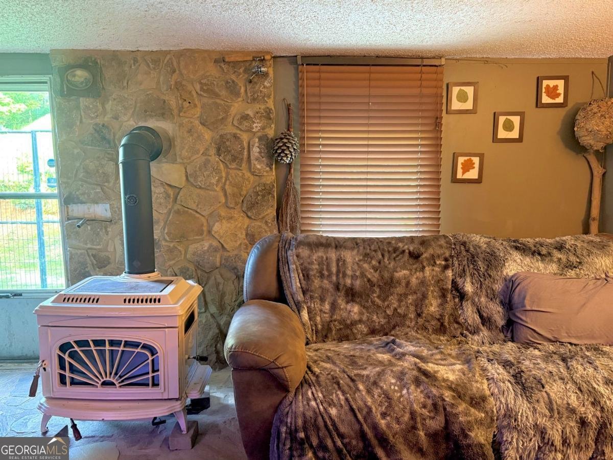 100 Adam Lane Ellijay - 1