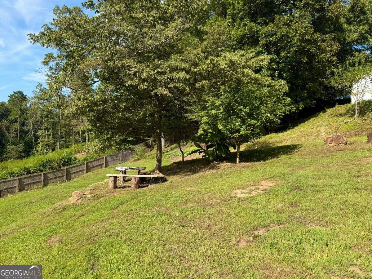 100 Adam Lane Ellijay - 11
