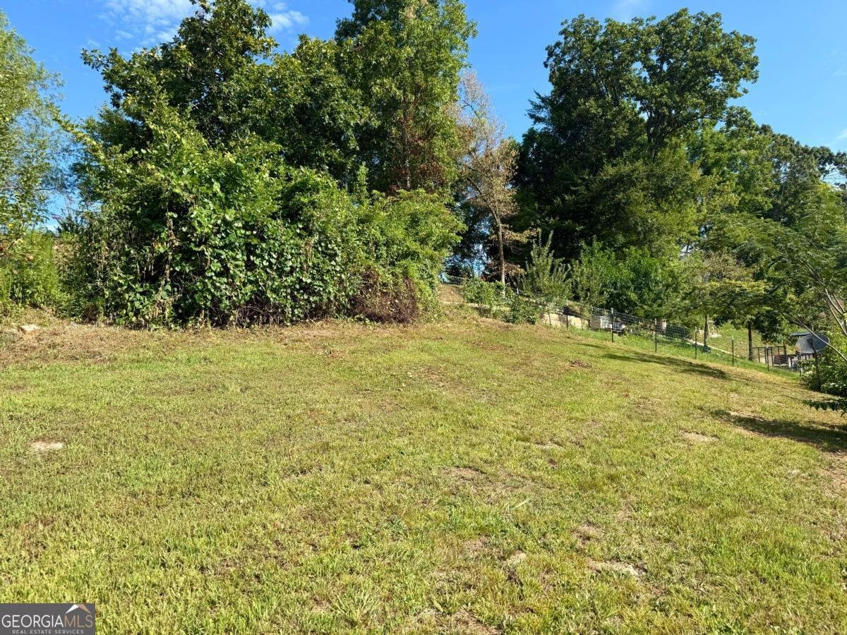 100 Adam Lane Ellijay - 12