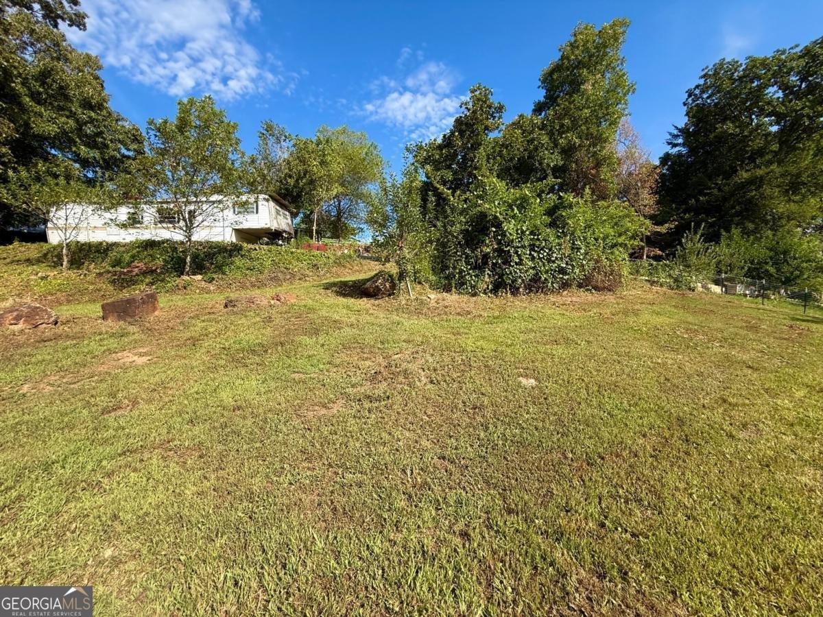100 Adam Lane Ellijay - 13