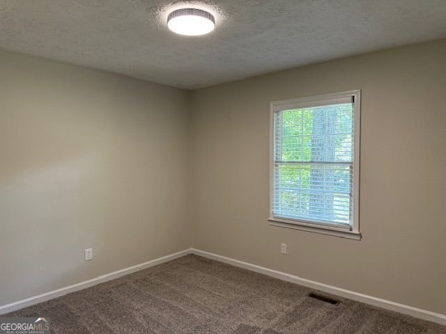 6168 Emerald Springs Way Acworth - 12
