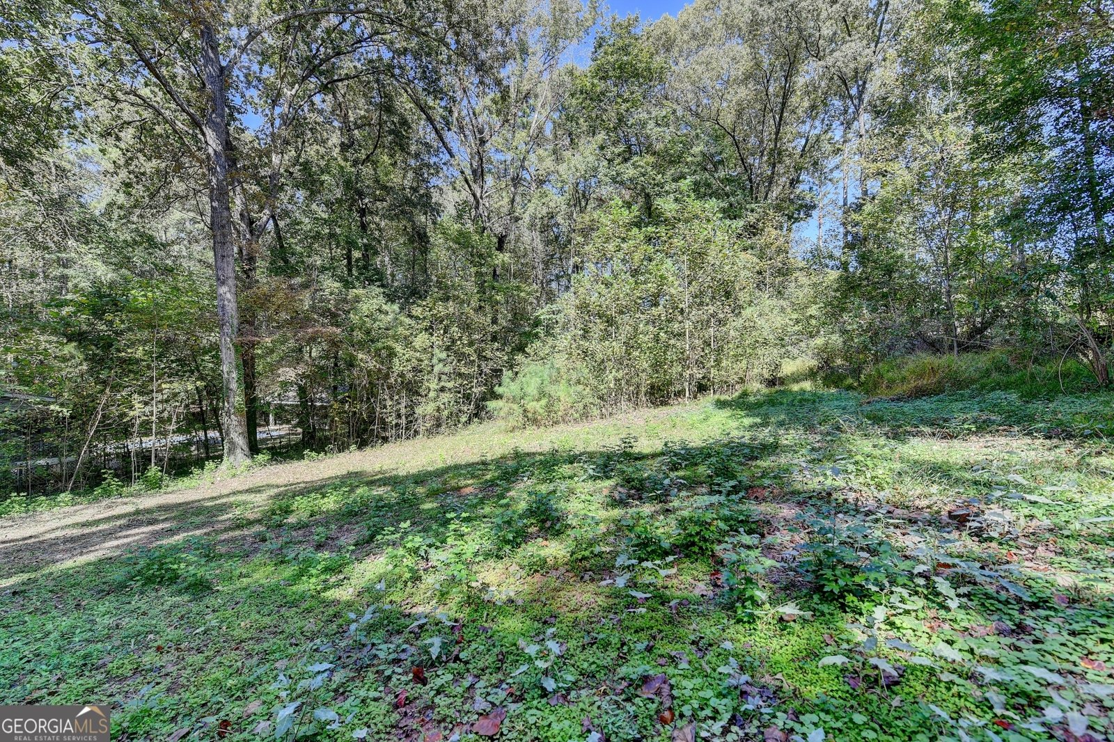 6168 Emerald Springs Way Acworth - 40