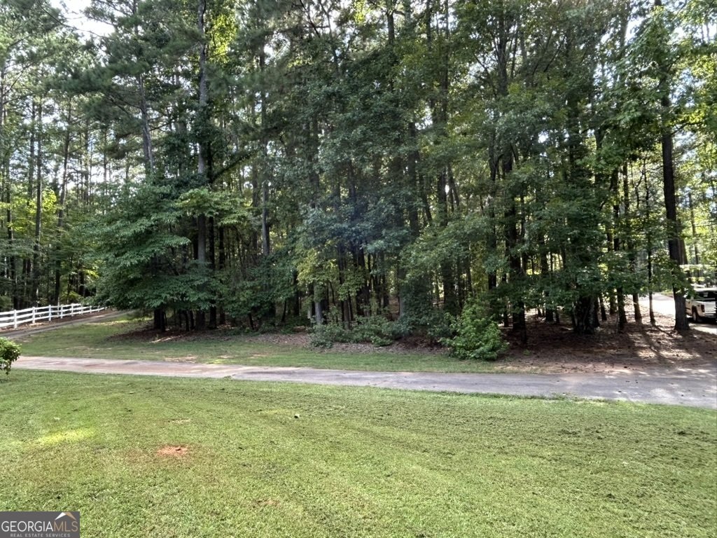 500 Butler Bridge Drive McDonough - 46