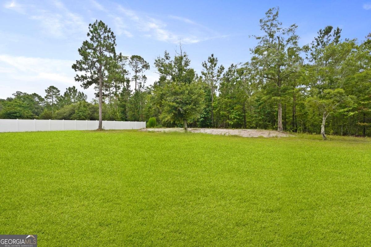 172 Taylor Creek Drive Ludowici - 41