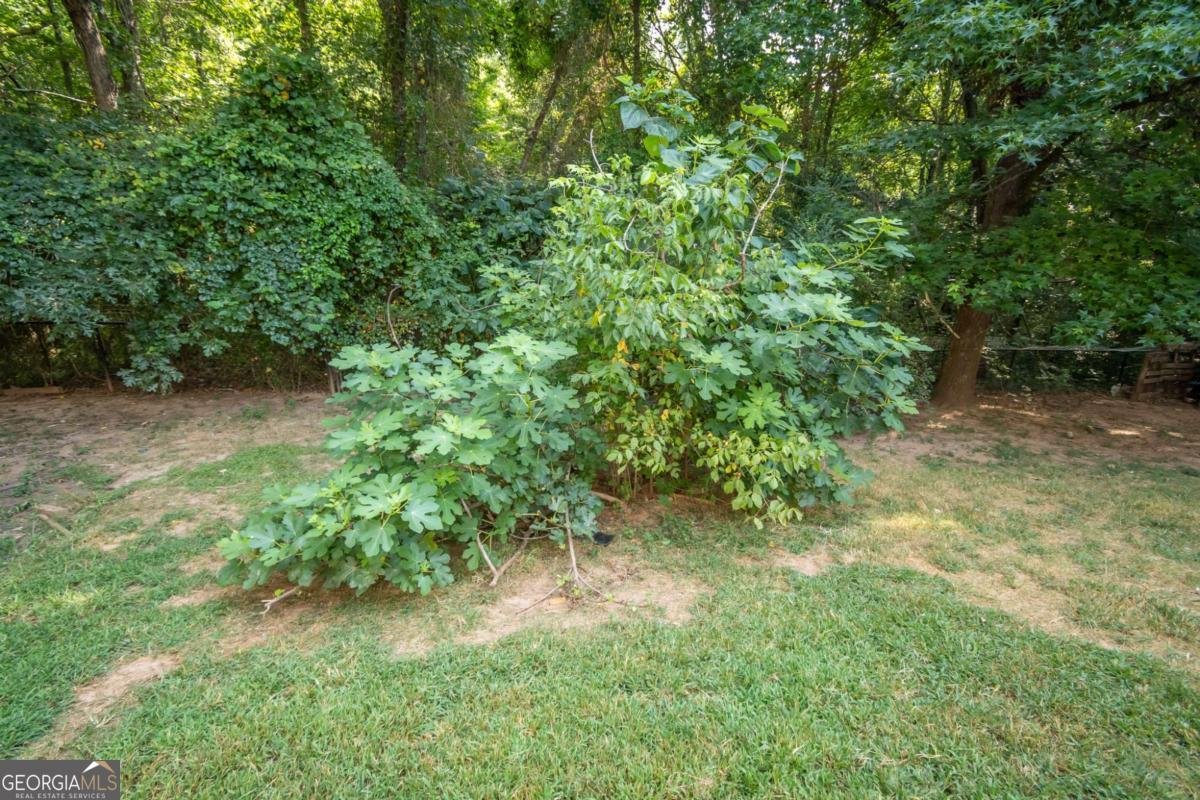 139 Marie Court Athens - 22