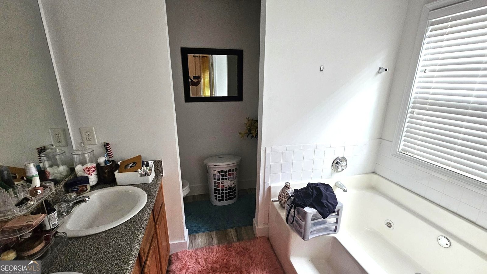 11432 Flemming Cove Drive Hampton - 9