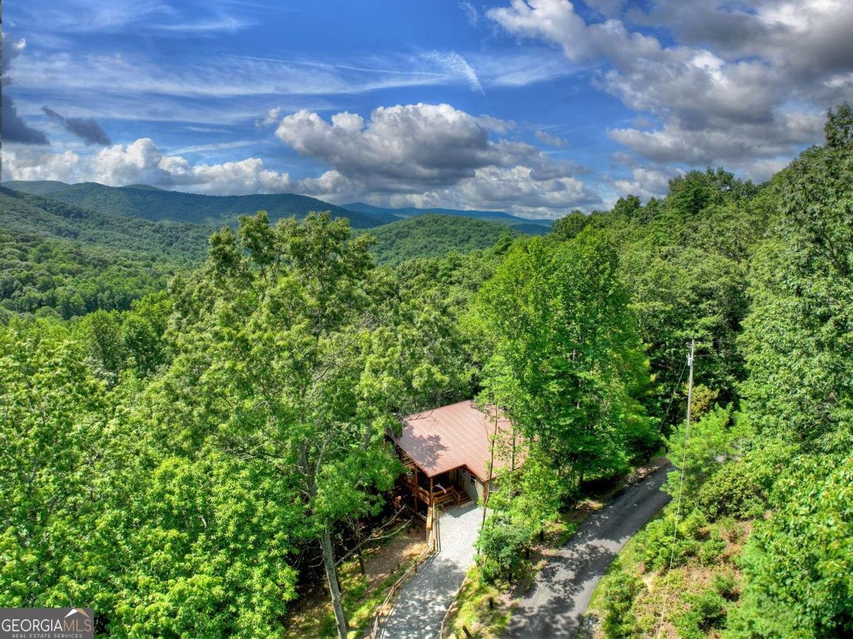 55 Skyline Drive Blue Ridge - 33
