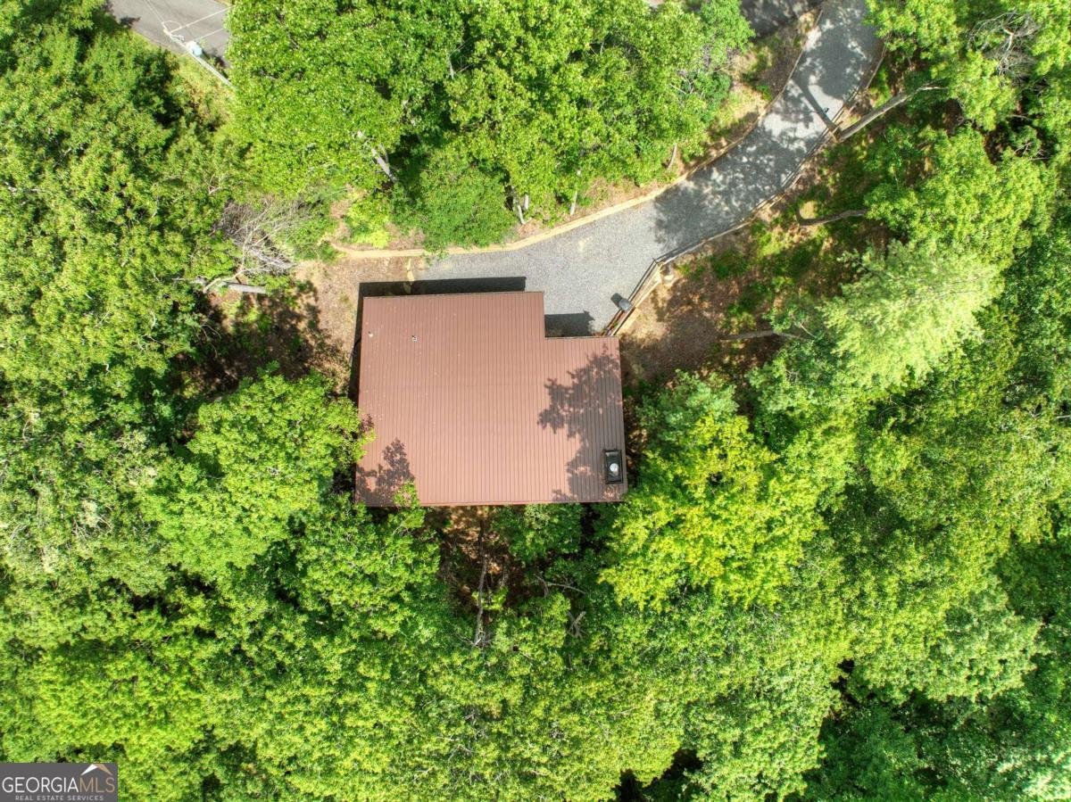 55 Skyline Drive Blue Ridge - 34