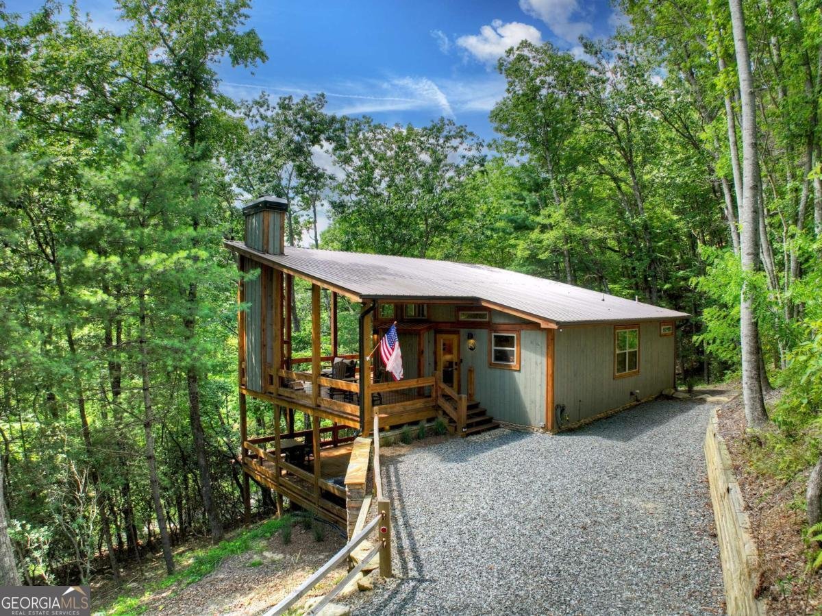55 Skyline Drive Blue Ridge - 41