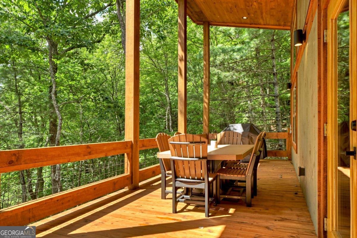 55 Skyline Drive Blue Ridge - 7