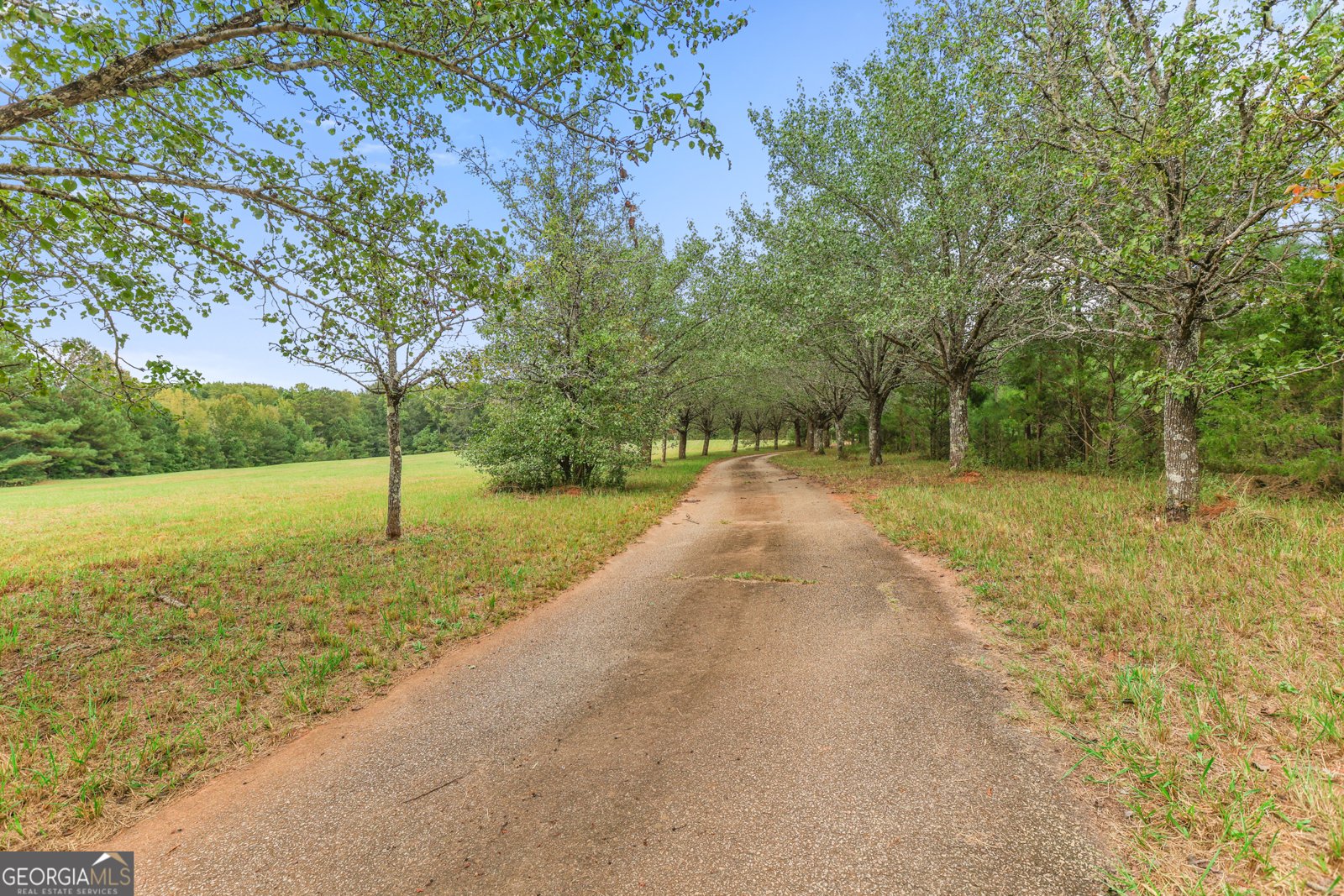 223 Arthur Road Zebulon - 26
