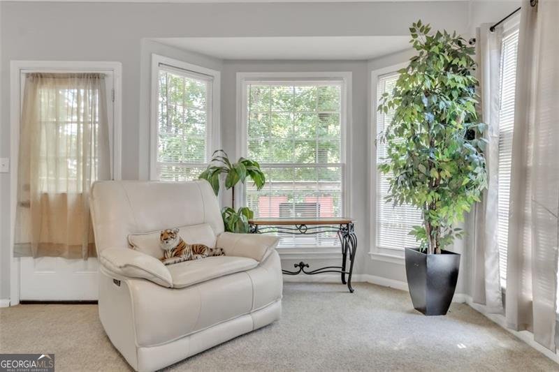 596 WATSON Cove Stone Mountain - 13