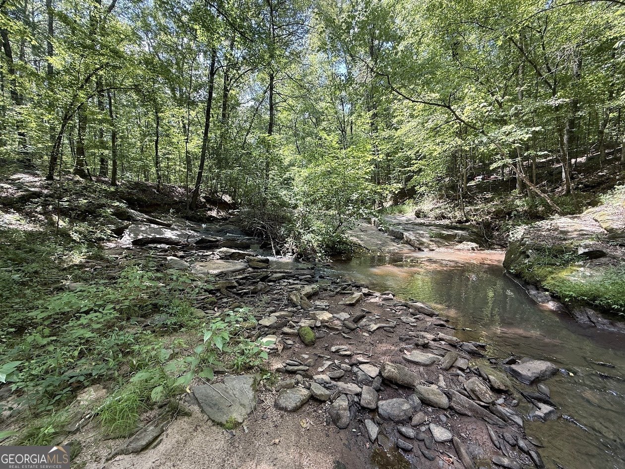 1817 Highway 83 Forsyth - 9