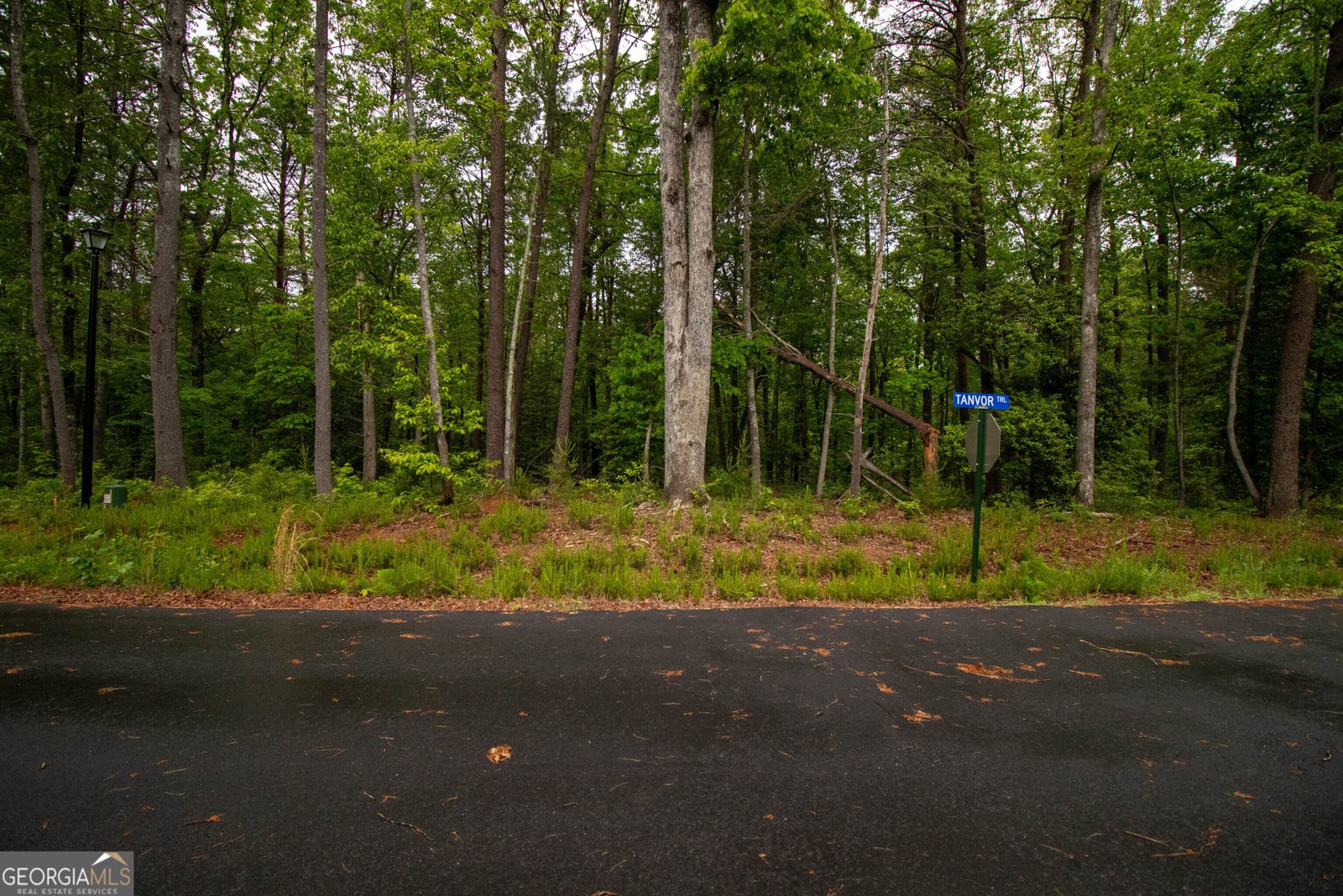 96 Tanvor Trail Cleveland - 16