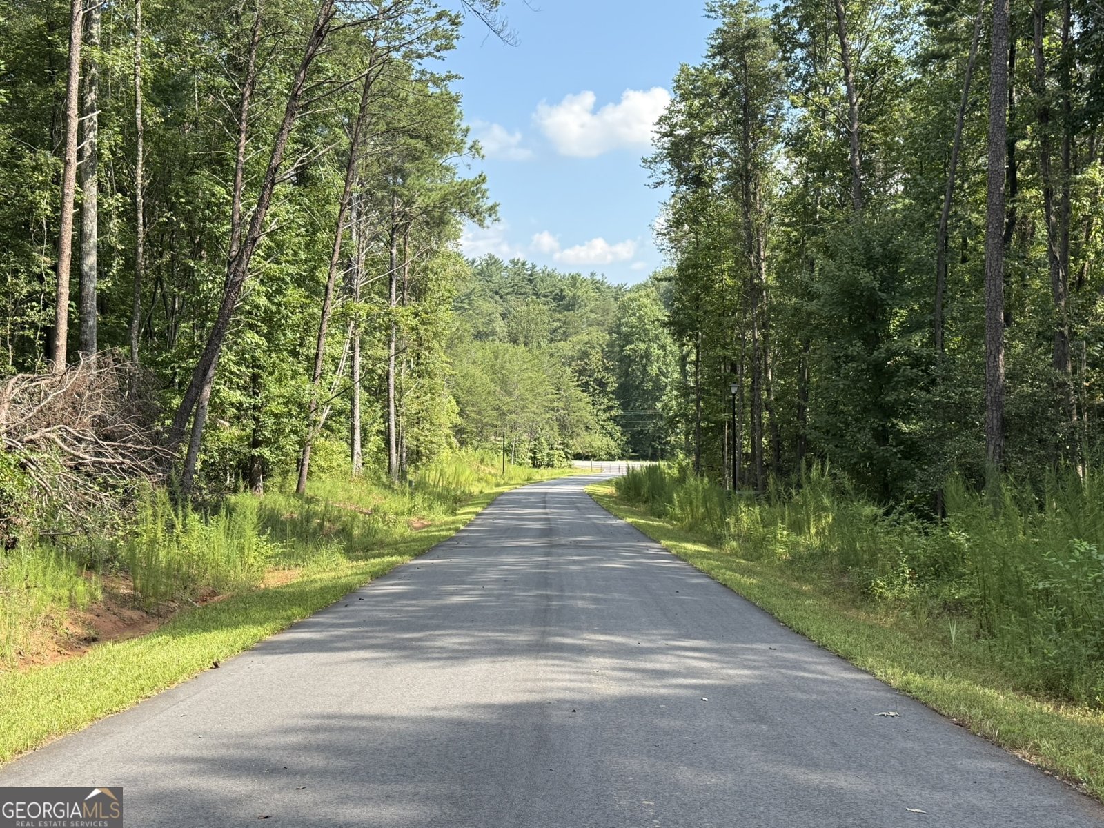 96 Tanvor Trail Cleveland - 25