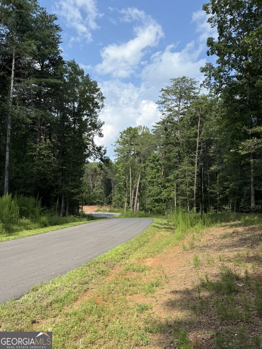 96 Tanvor Trail Cleveland - Photo 31