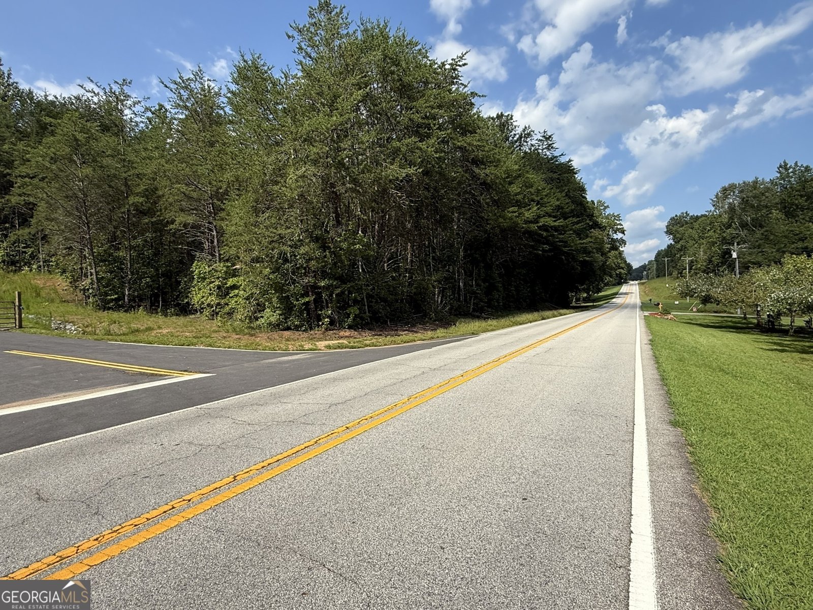 96 Tanvor Trail Cleveland - Photo 35